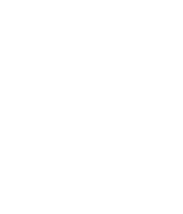 The Evolution Performance